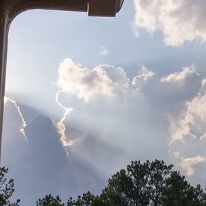 Meet your Posher, Sharda